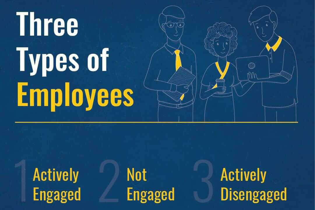 Types of Employees in an Organization